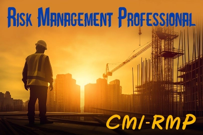 Risk Management Professional